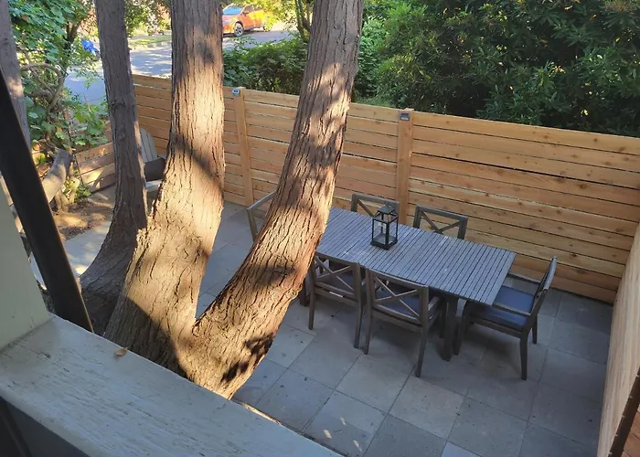 Modern Craftsman Garden Patio In Georgetown
