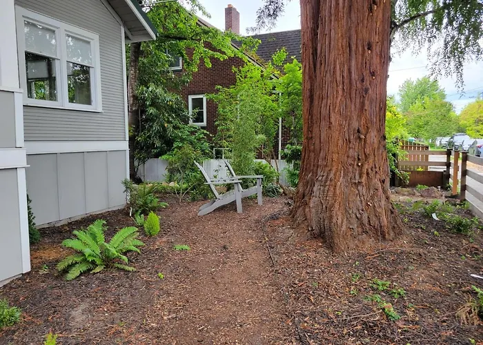 Modern Craftsman Garden Patio In Georgetown